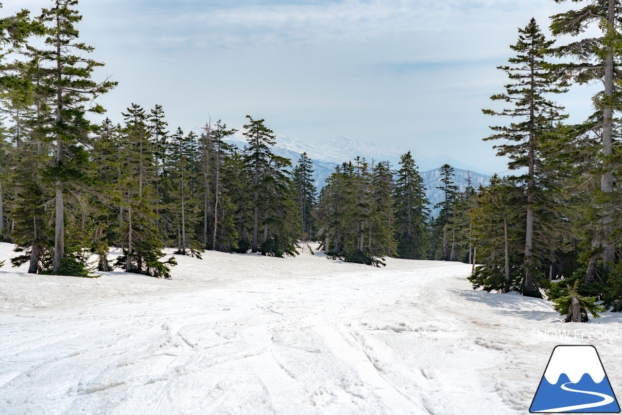 大雪山旭岳ロープウェイ｜2022-2023シーズンSNOWFreaks最終レポート。滑り納めは、北海道最高峰「旭岳」。皆様、今シーズンもありがとうございました！